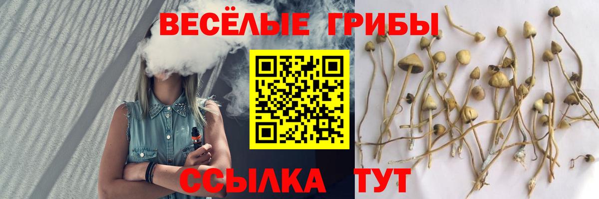 Учалы  Галлюциногенные грибы мицелий  Вход с VPN 